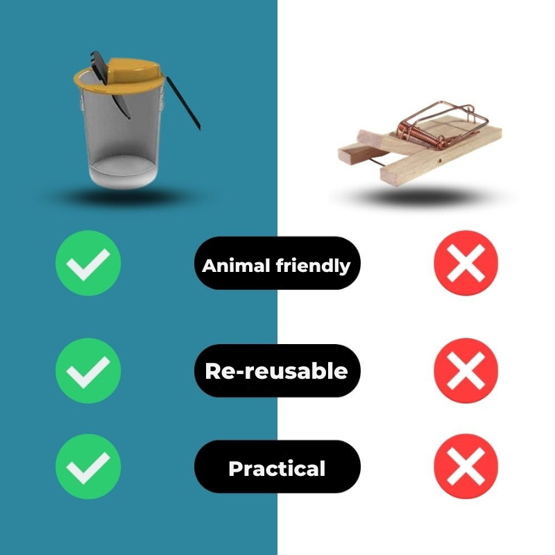 מלכודת מכרסמים ללא אכזריות 