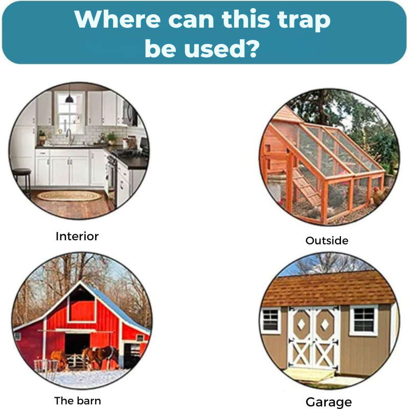 מלכודת מכרסמים ללא אכזריות 