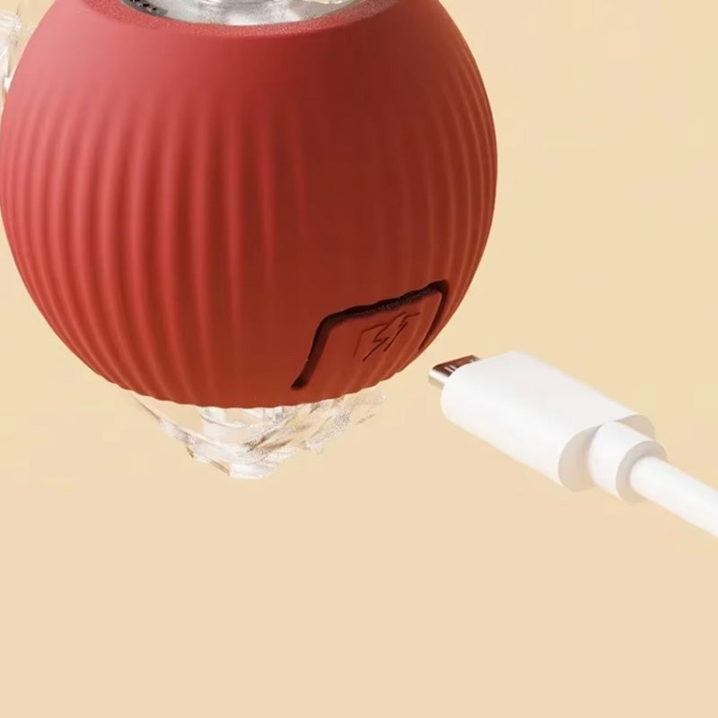 Juguete rebotador para gatos activos y curiosos 