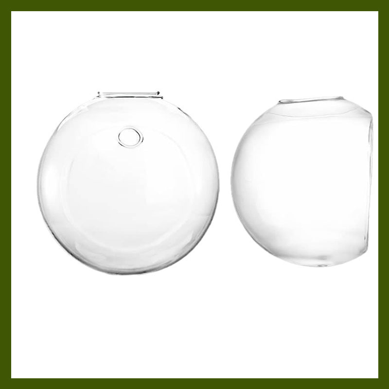 Showcase your plants on your walls, without drilling 