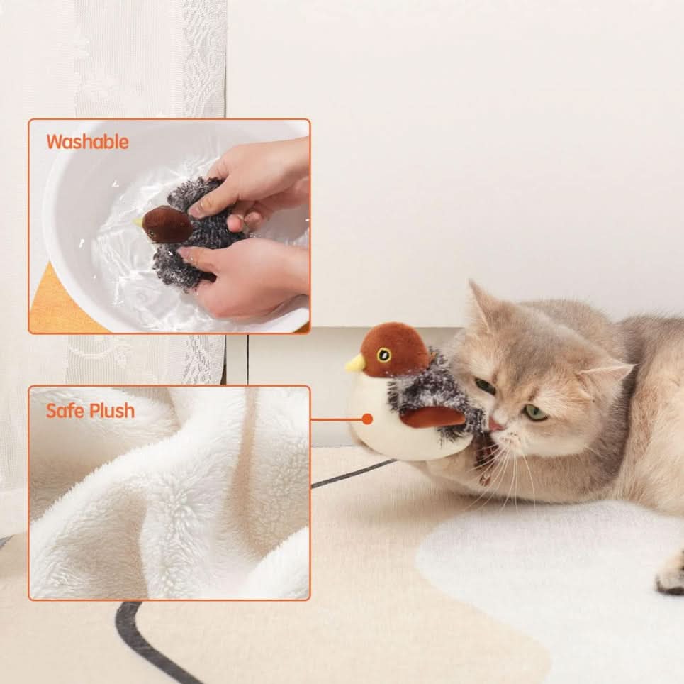 Stimulez l'instinct naturel de votre chat