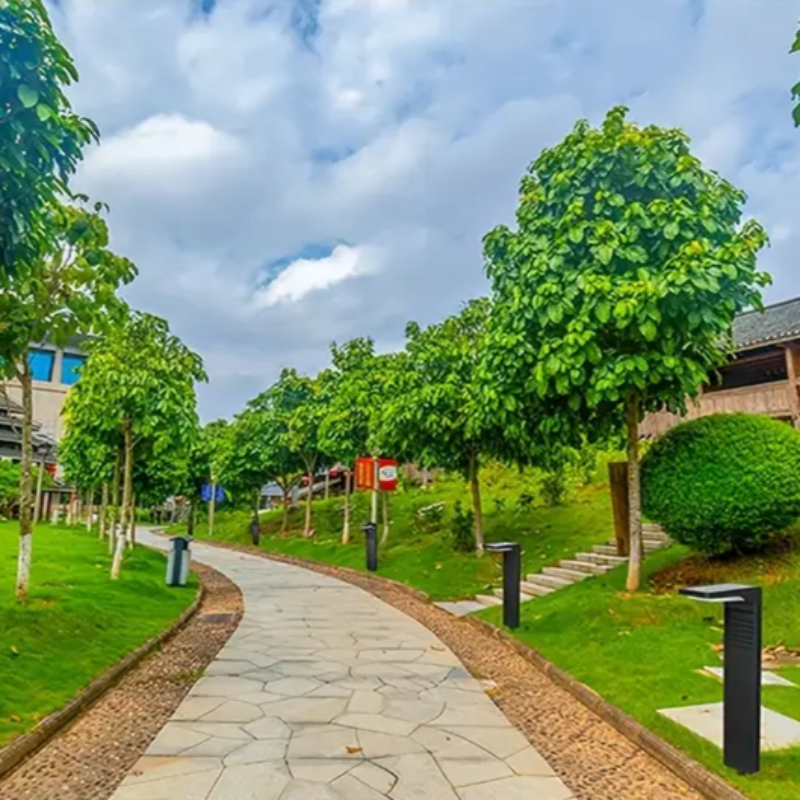 Lys upp din trädgård utan elektricitet eller ansträngning 